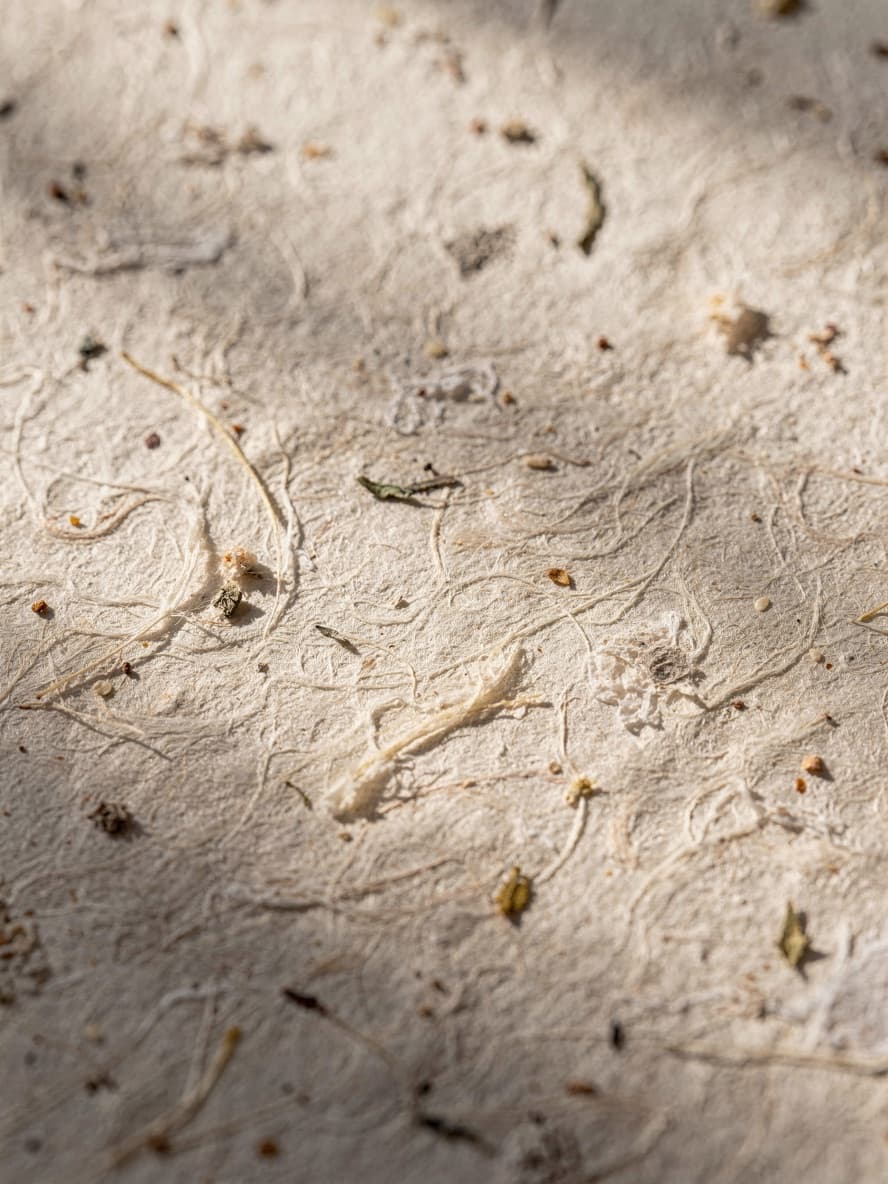 Close-up of handmade paper fibres with embedded seeds, stems and flecks of plant matter