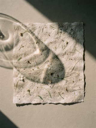 A square of handmade botanical paper in raking sun, a glass bottle's shadow across it